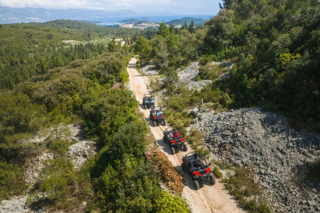 Buggy Safari